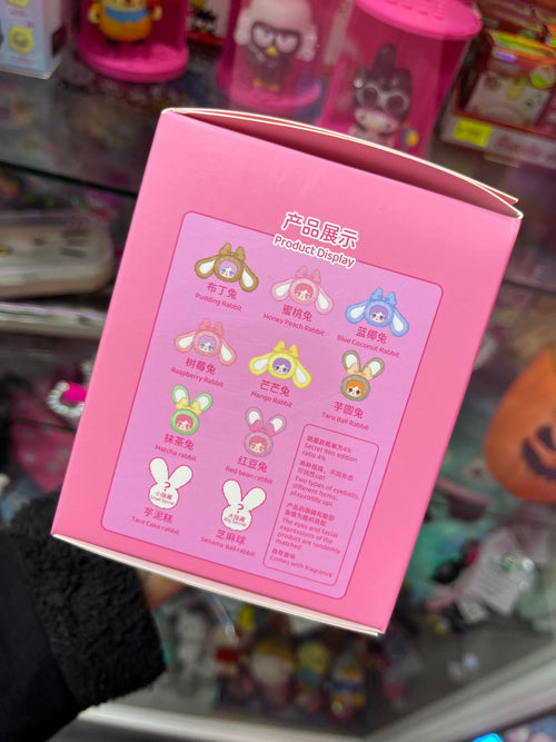 Blind Box Amy’s Little Rabbit